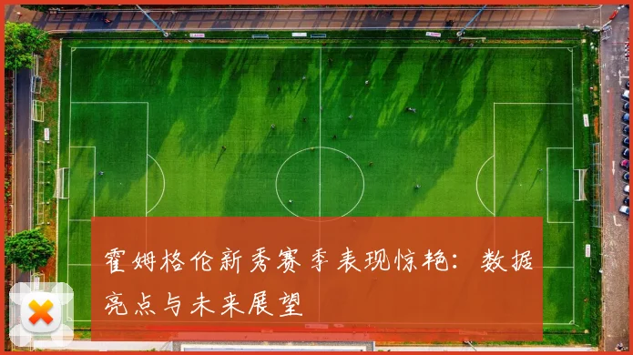霍姆格伦新秀赛季表现惊艳：数据亮点与未来展望