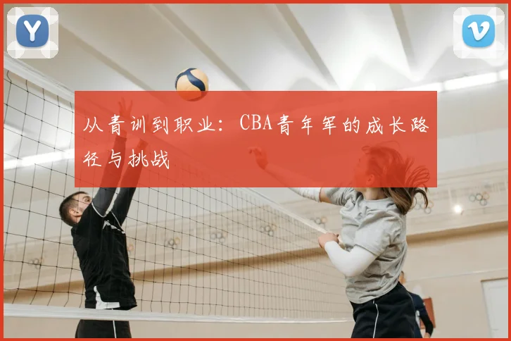 从青训到职业：CBA青年军的成长路径与挑战